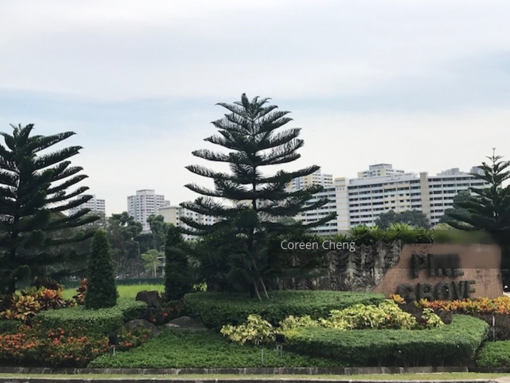 Pine Grove (D21), Condominium #208261231